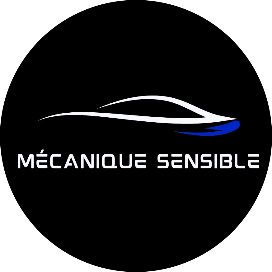 Logo Mécanique Sensible - Expert en composants moteurs et technologie Mitosaldaite.
