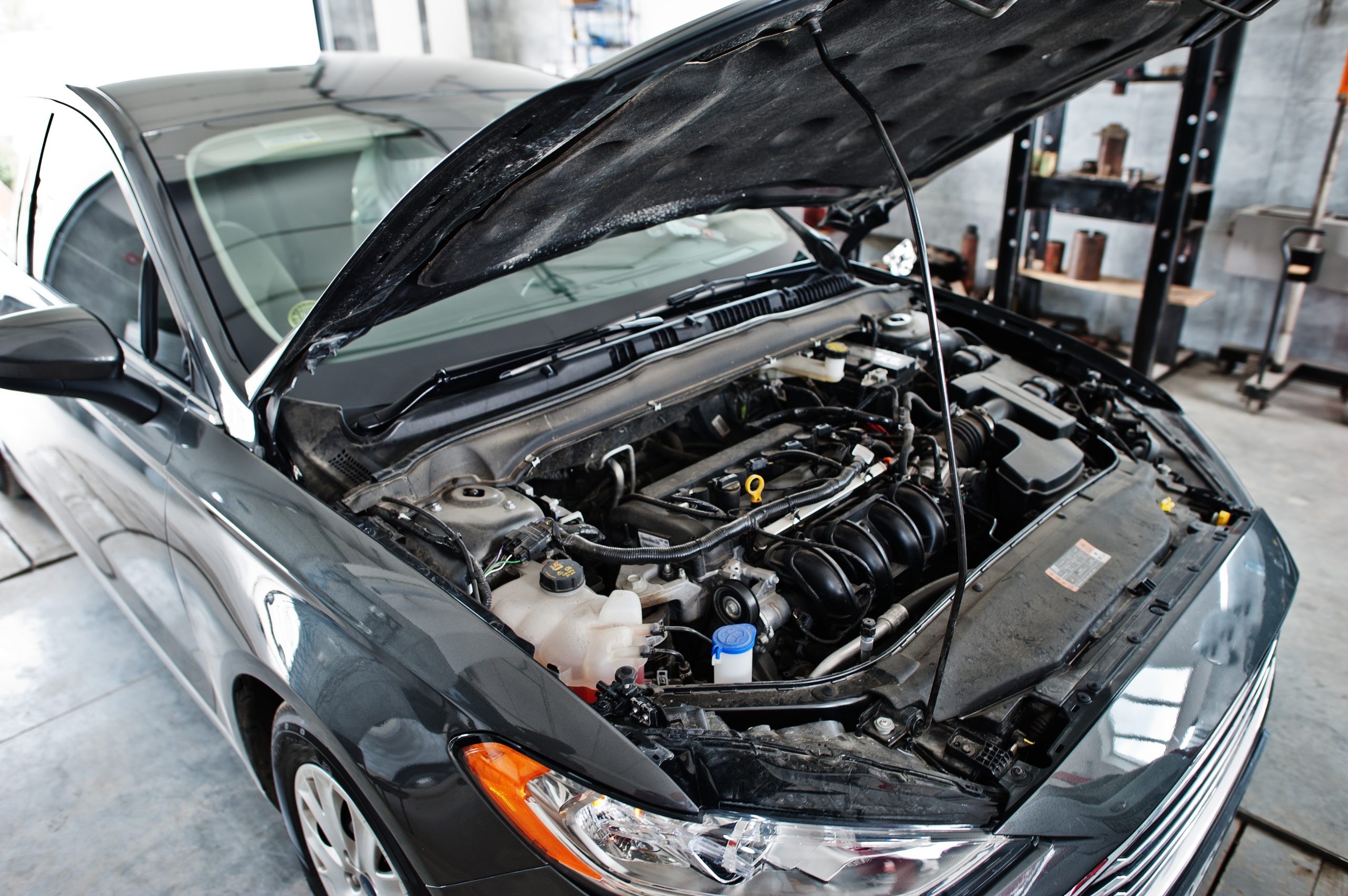 Capot moteur ouvert - diagnostic claquement démarrage Mitosaldaite